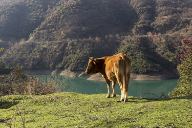 Similar image 6780991