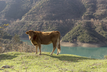 Similar image 6780992