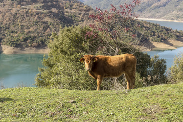 Similar image 6780995