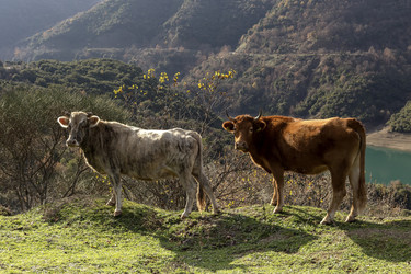 Similar image 6780996