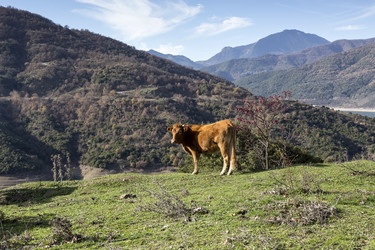 Similar image 6780997