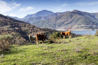 Similar image 6780999