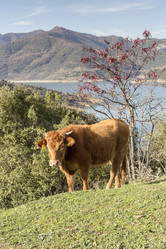 Similar image 6781001