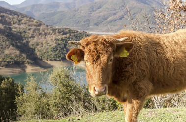 Similar image 6781003