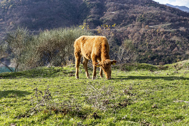 Similar image 6781004