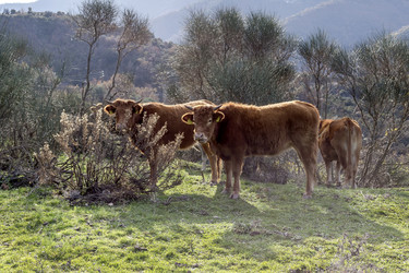 Similar image 6781005