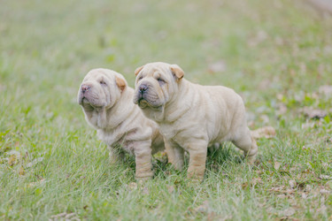 Similar image 6783295