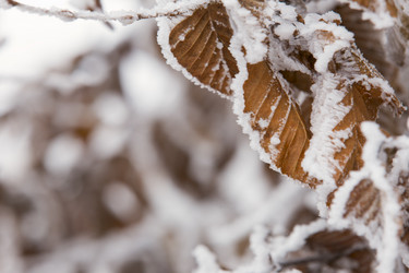 Similar image 6783310