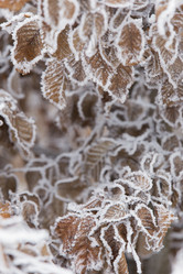 Similar image 6783475