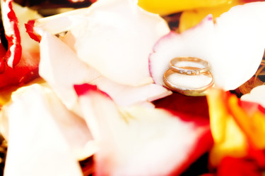 Similar image 6783606