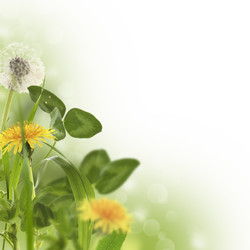 Similar image 6791331