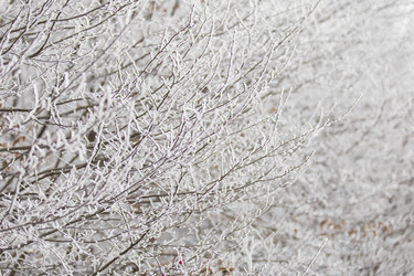 Similar image 6791491