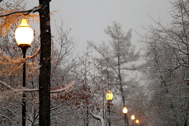 Similar image 6792118