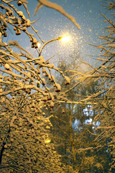 Similar image 6792125