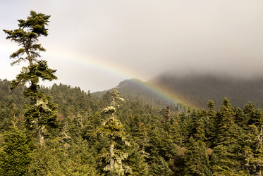 Similar image 6792572