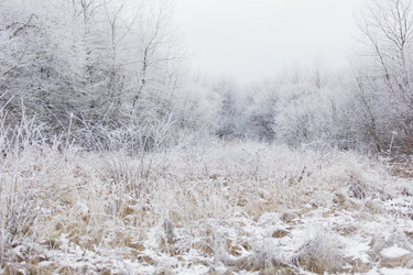 Similar image 6795112