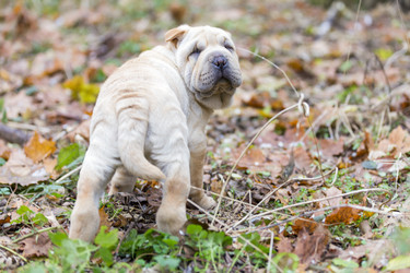 Similar image 6795114