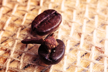 Similar image 6795128