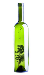 Similar image 6795129