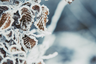 Similar image 6815096