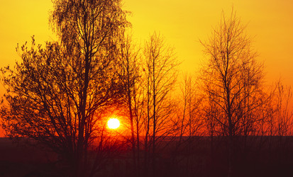 Similar image 6815117