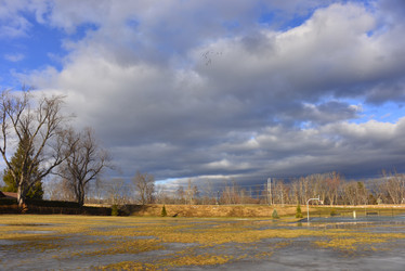 Similar image 6815299