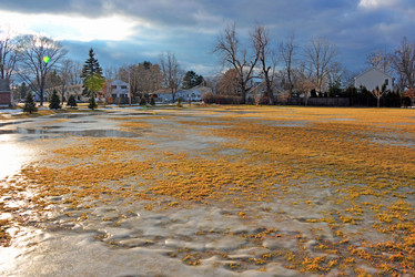 Similar image 6815305