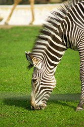 Similar image 6815425