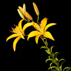 Similar image 6815519