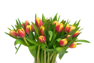 Similar image 6815527