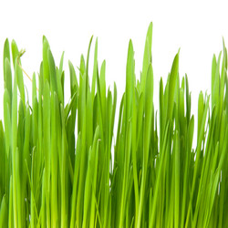 Similar image 6815528