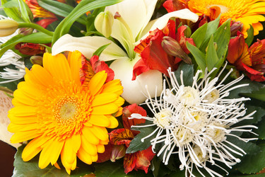 Similar image 6815535