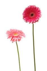 Similar image 6815589