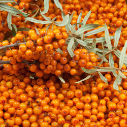 Similar image 6815592