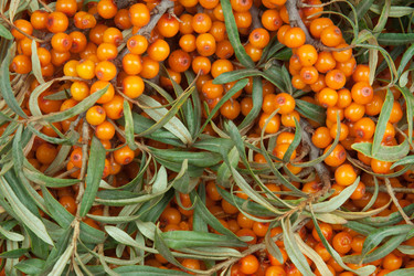 Similar image 6815593