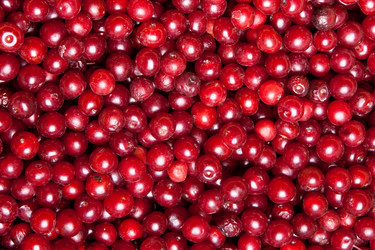 Similar image 6815597