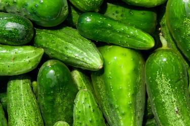 Similar image 6815598