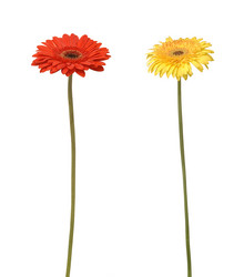 Similar image 6815601