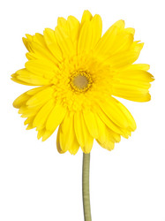 Similar image 6815616