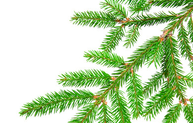 Similar image 6815619