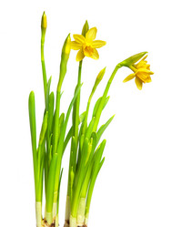 Similar image 6815630