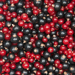 Similar image 6815656