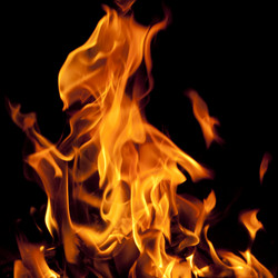 Similar image 6815662