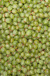 Similar image 6815761