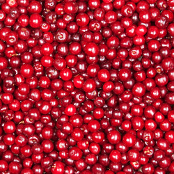 Similar image 6815762