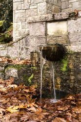 Similar image 6829426