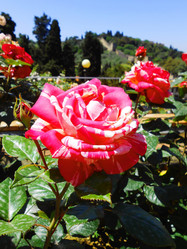 Similar image 6829431