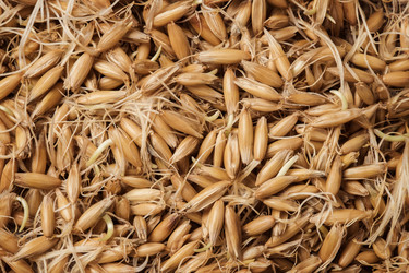 Similar image 6829647