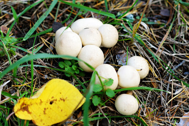 Similar image 6831350