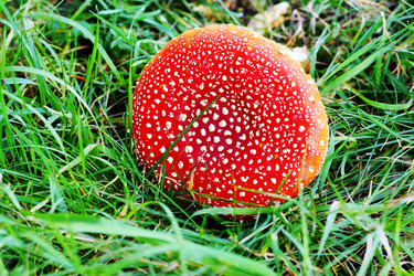 Similar image 6831352